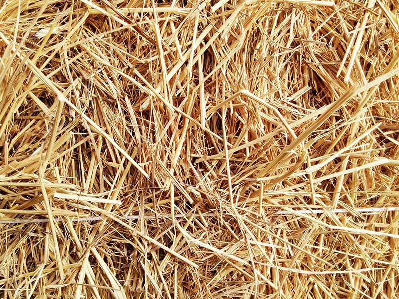 paglia-di-riso-materiale-innovativo-termoisolante